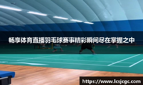 畅享体育直播羽毛球赛事精彩瞬间尽在掌握之中
